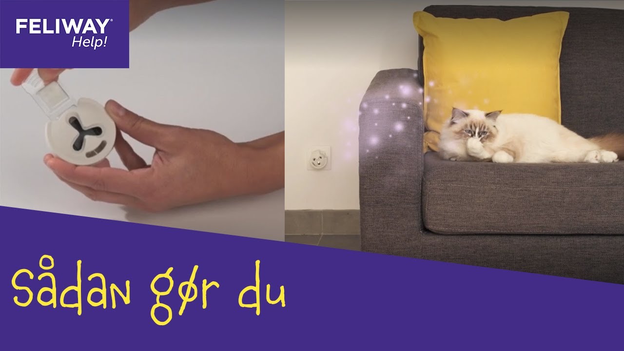 Sådan bruger du FELIWAY Help! Diffuser