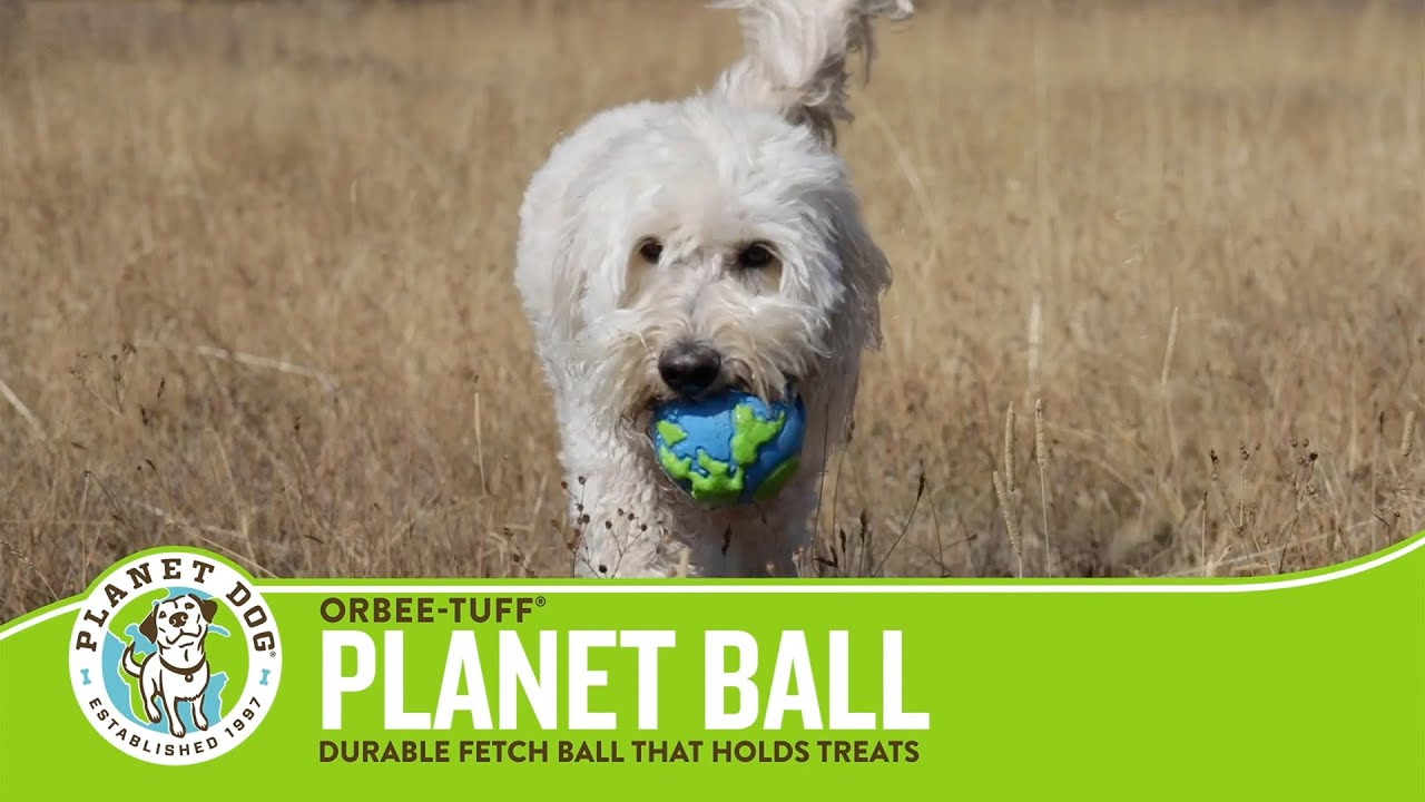Planet Dog Planet Ball - Durable Fetch Ball That Holds Treats