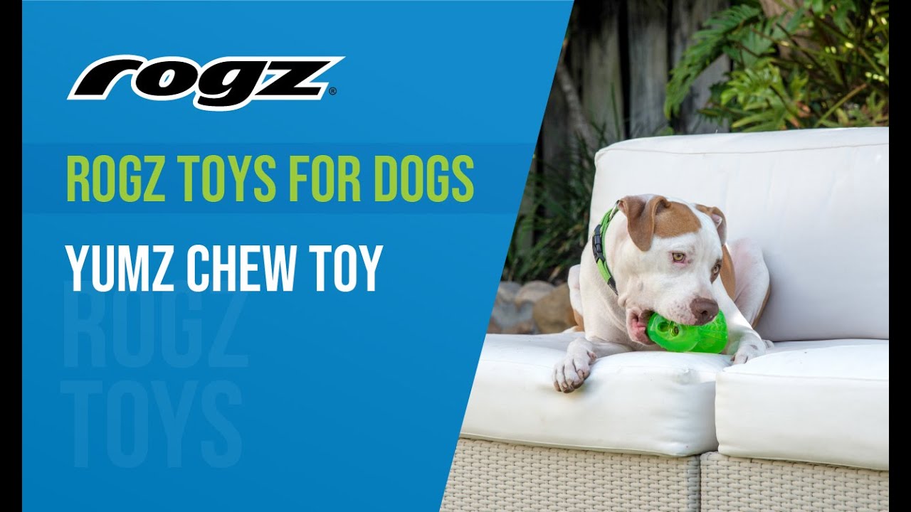 Rogz Toys for Dogs - Yumz Chew Toy