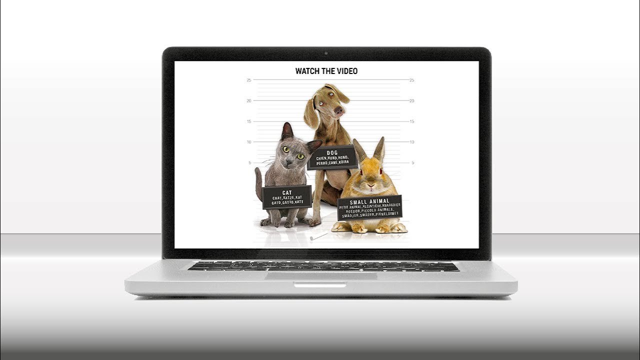 CSI URINE - The New Force in Pet Urine Removal