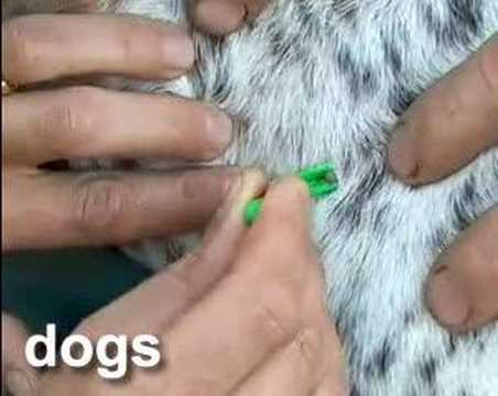How to remove ticks using Tick Twister