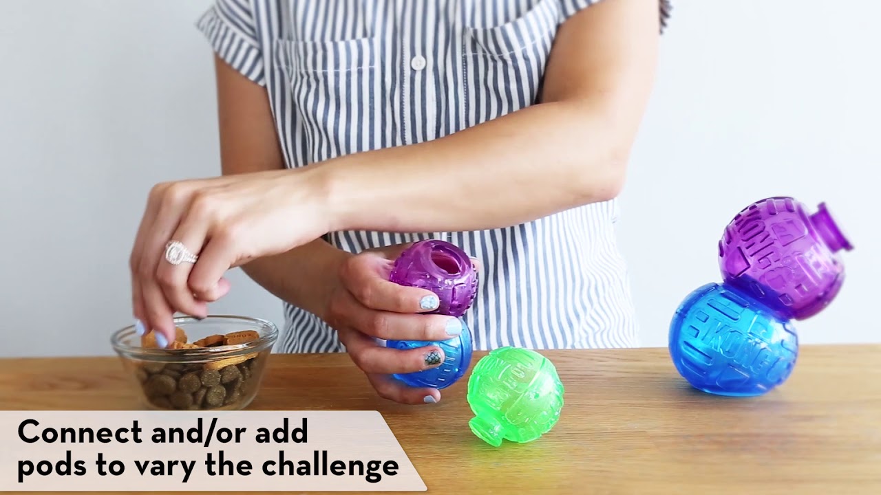 KONG Lock It - Dog Toy