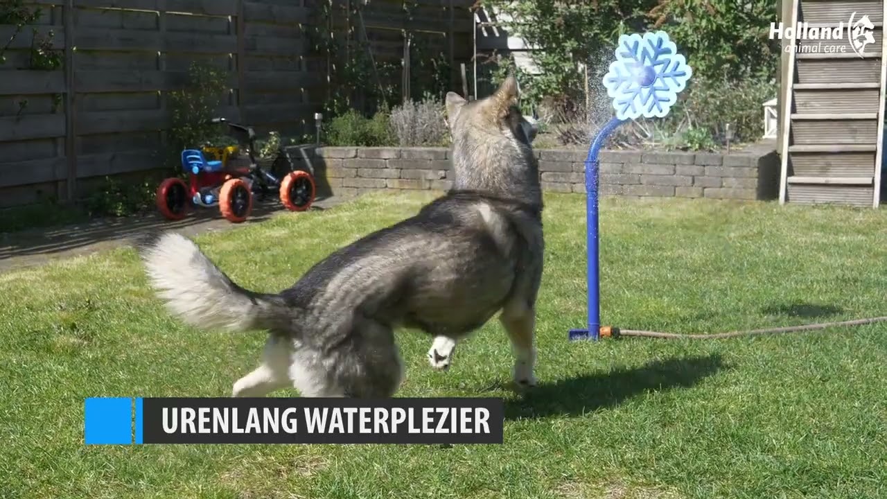 CoolPets Ice Flower Sproeier voor uw hond - Dierapotheker.nl
