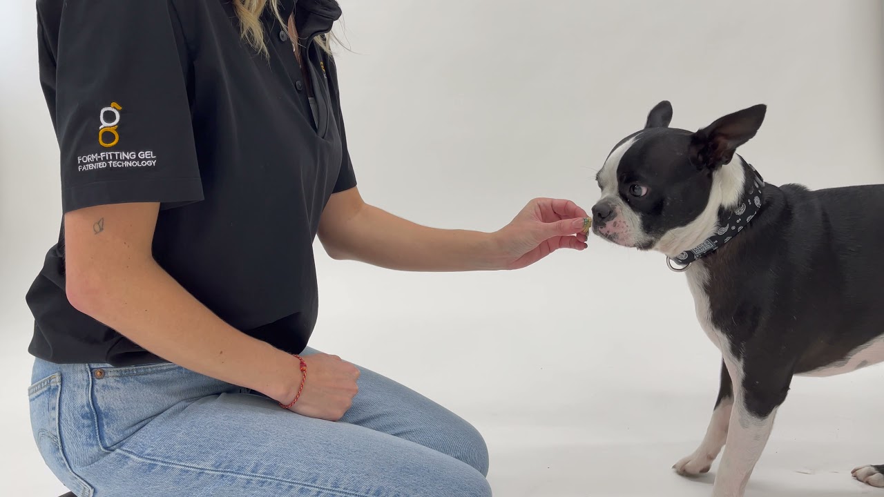 How To Put On Goo-eez Dog Boots - The Squish Method