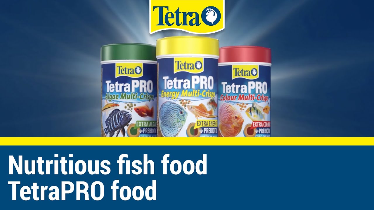 Nutritious Aquarium Food I TetraPRO Fish Food
