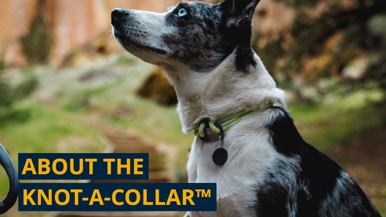 About the Knot-a-Collar™