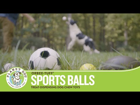 Orbee-Tuff Sports Balls | Planet Dog