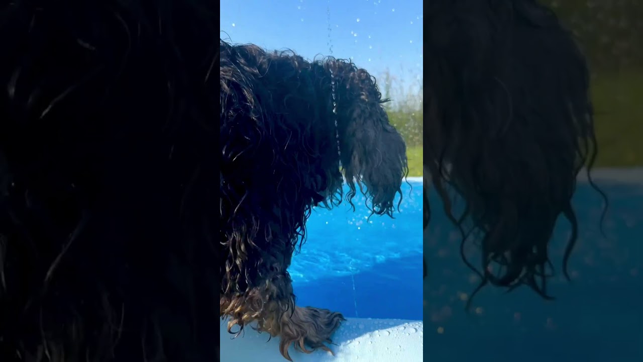 CoolPets Splash Sprinkler Pad