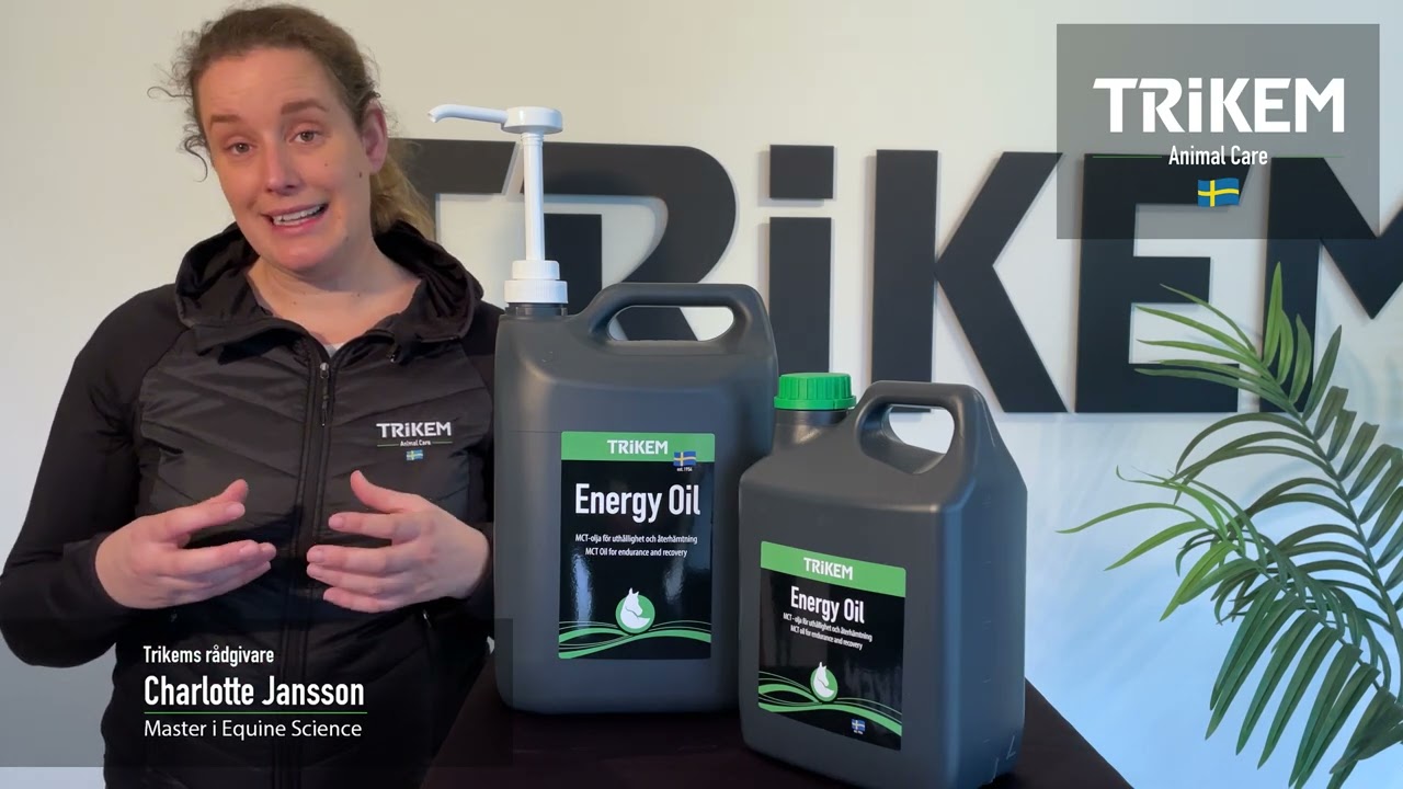 Energy Oil, produktinformation