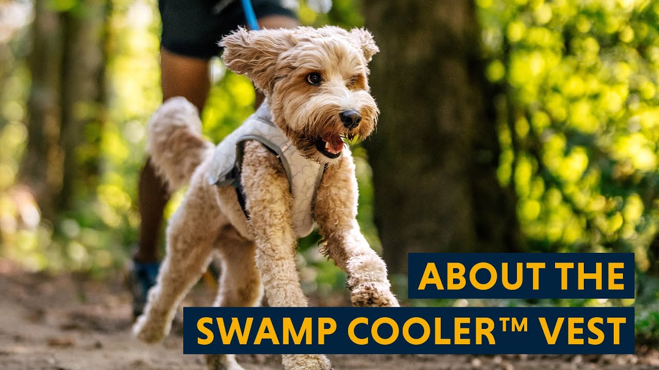 About the Swamp Cooler™ Vest