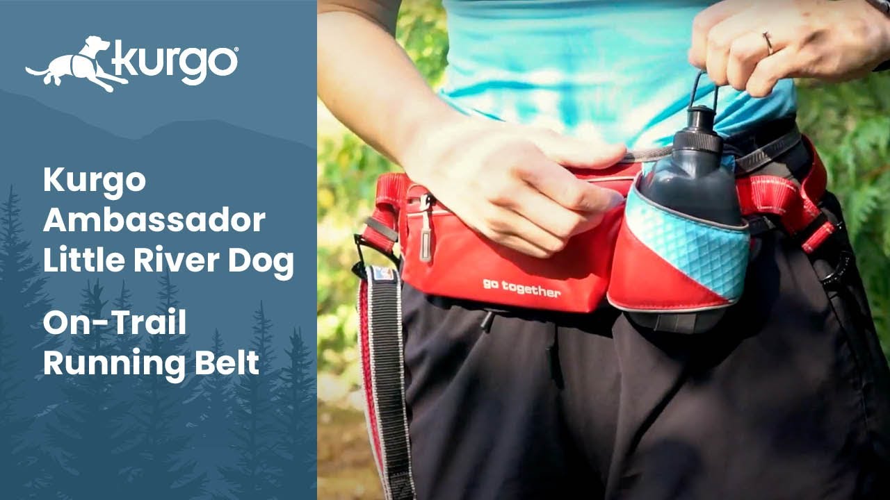 The On-Trail Running Belt