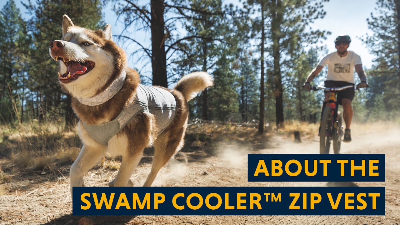 About the Swamp Cooler™ Zip Vest