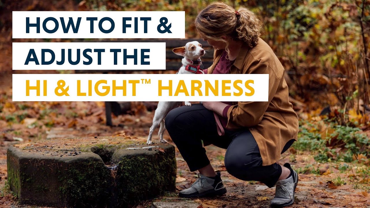 How to Fit & Adjust The Hi & Light™ Harness