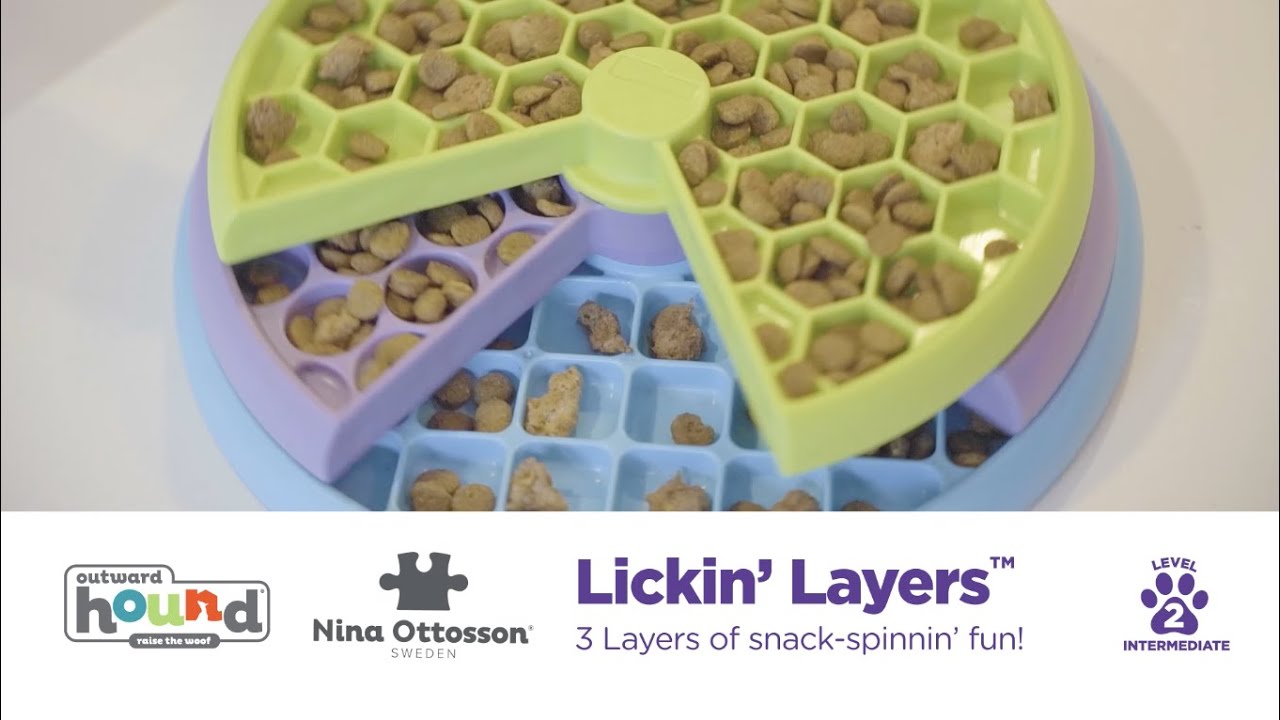 Lickin' Layers | Nina Ottosson by Outward Hound