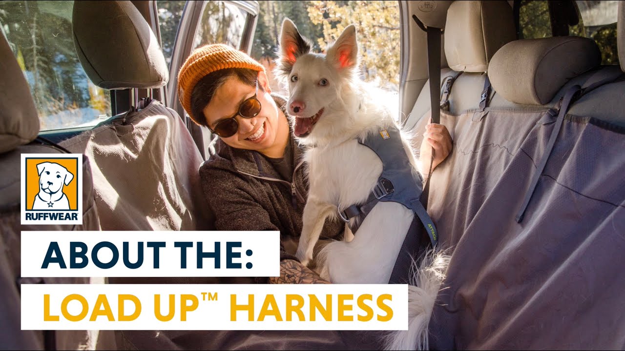About: The Load Up™ Harness