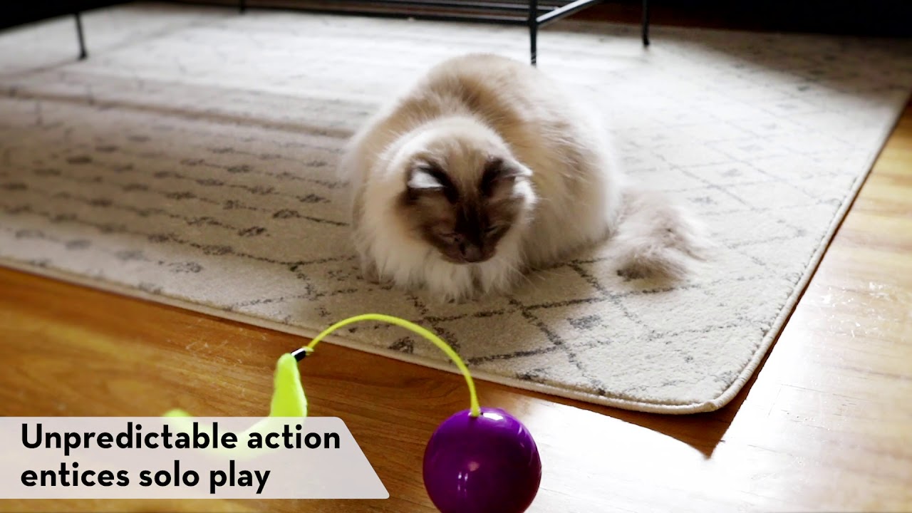 KONG Purrsuit Whirlwind - Cat Toy