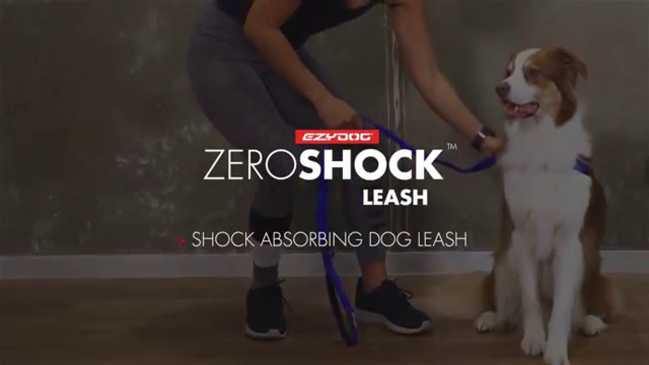 How to use a Shock-Absorbing Dog Leash - EzyDog Zero Shock Dog Leash