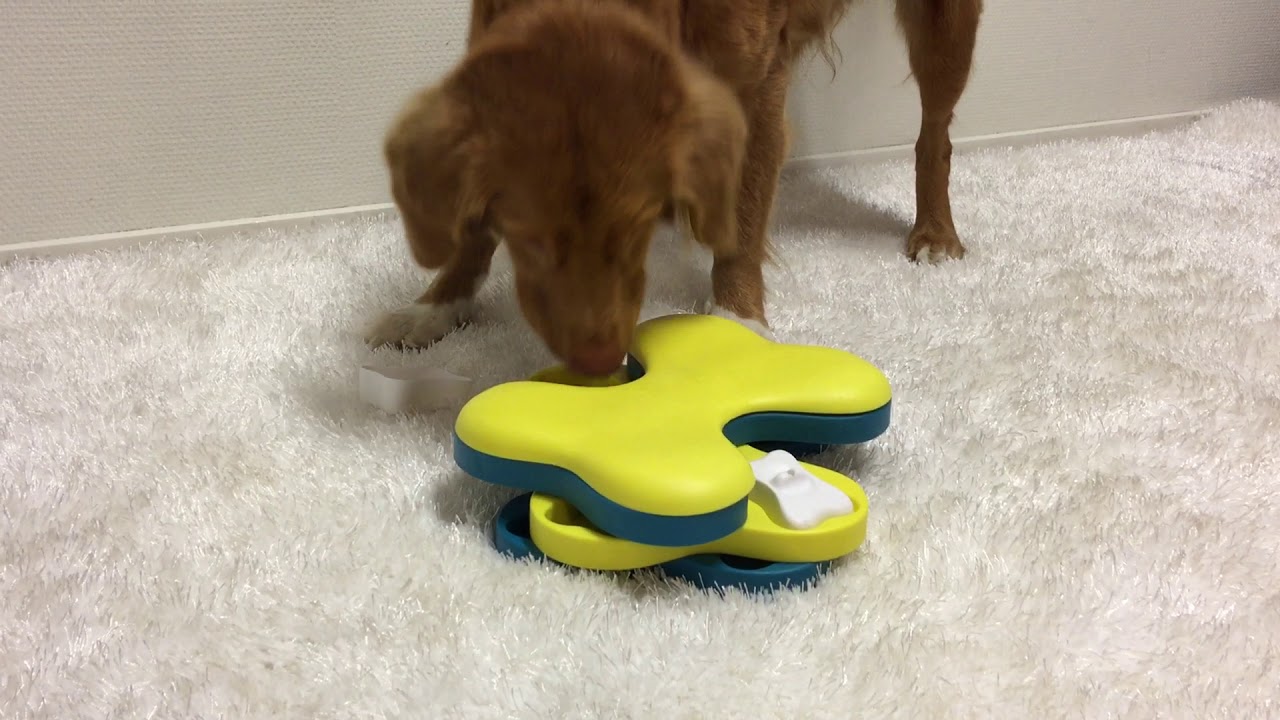 Dog Tornado - Nina Ottosson - New
