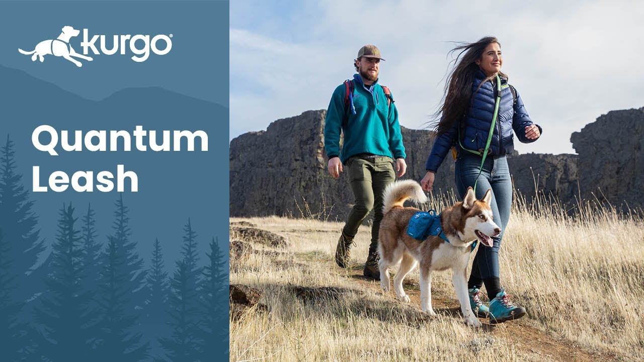 How to Use the Quantum Leash