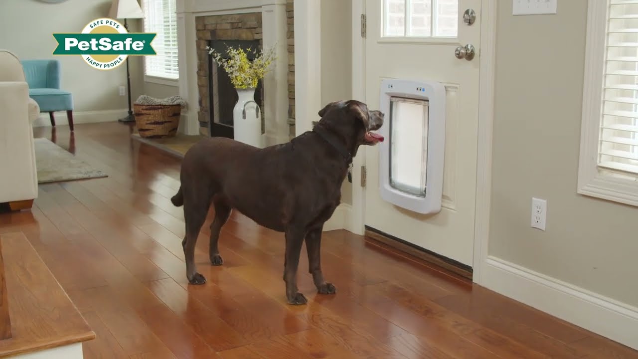 Introducing the new SmartDoor Connected Pet Door | PetSafe