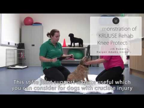 Demonstration of KRUUSE Rehab Knee Protection