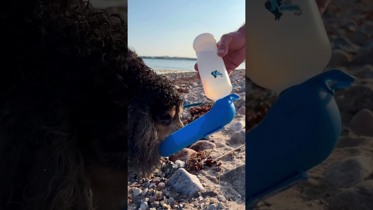 CoolPets Fresh 2GO Water bottle