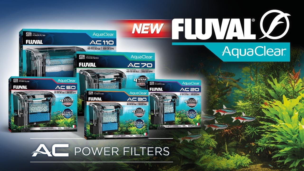 SET UP IN MINUTES | Fluval AC Series Filter Installation