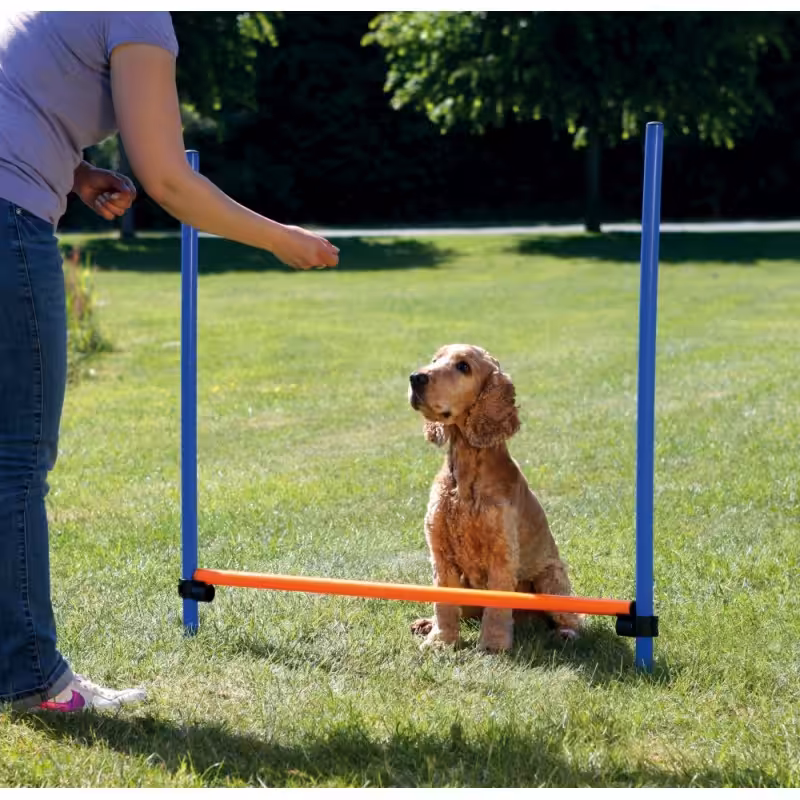 Agility bom til hund. Ø3x125x115 cm. Blå/orange