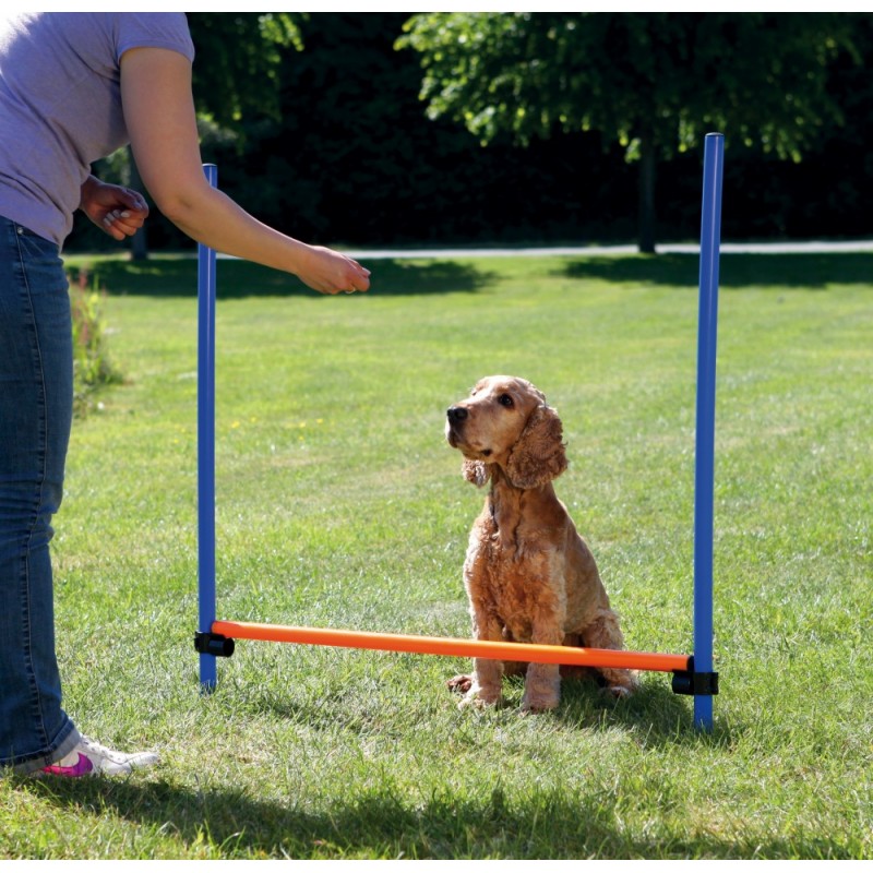 Agility bom til hund. Ø3x125x115 cm. Blå/orange