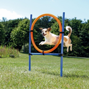 Agility ring til hund.Ø3x115/65 cm. Blå/orange