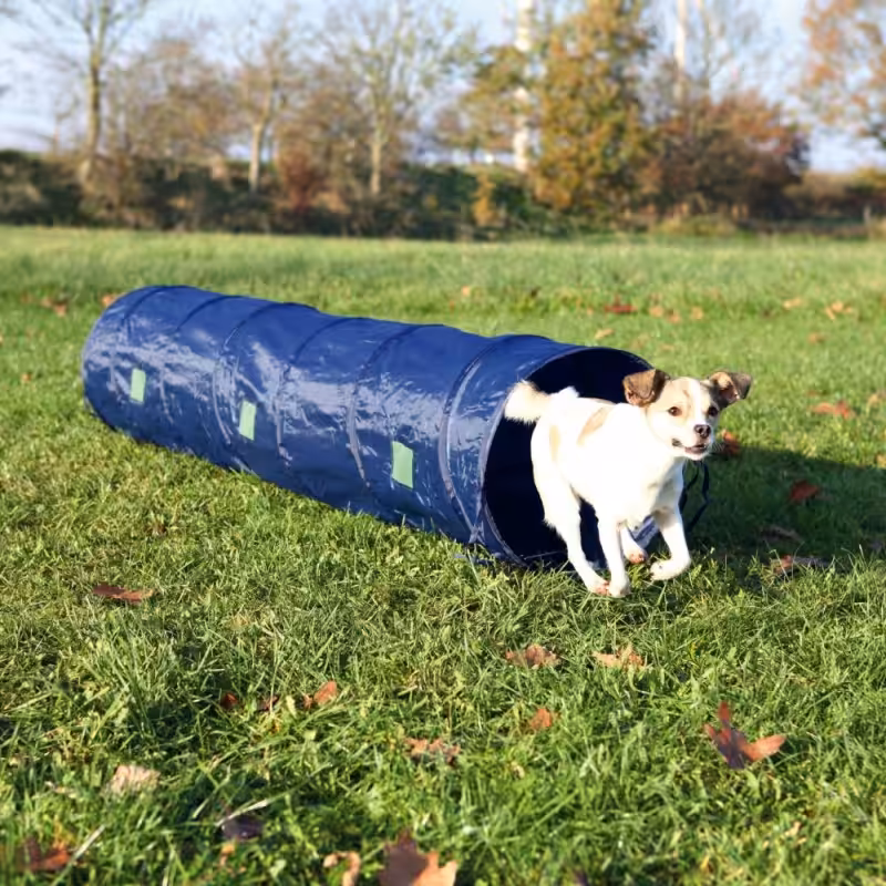 Agility tunnel til hund. Også velegnet til hvalpe. Ø40 cm./2 M. Blå