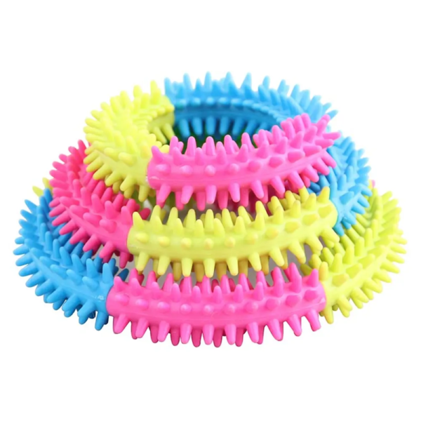 Pawise hunde legetøj rainbow world ring
