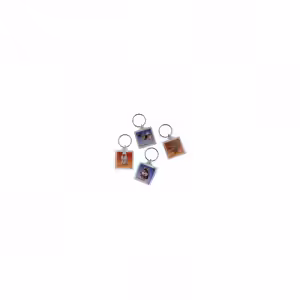 Nøglering Hamster 32 x 32 mm. Multicolor