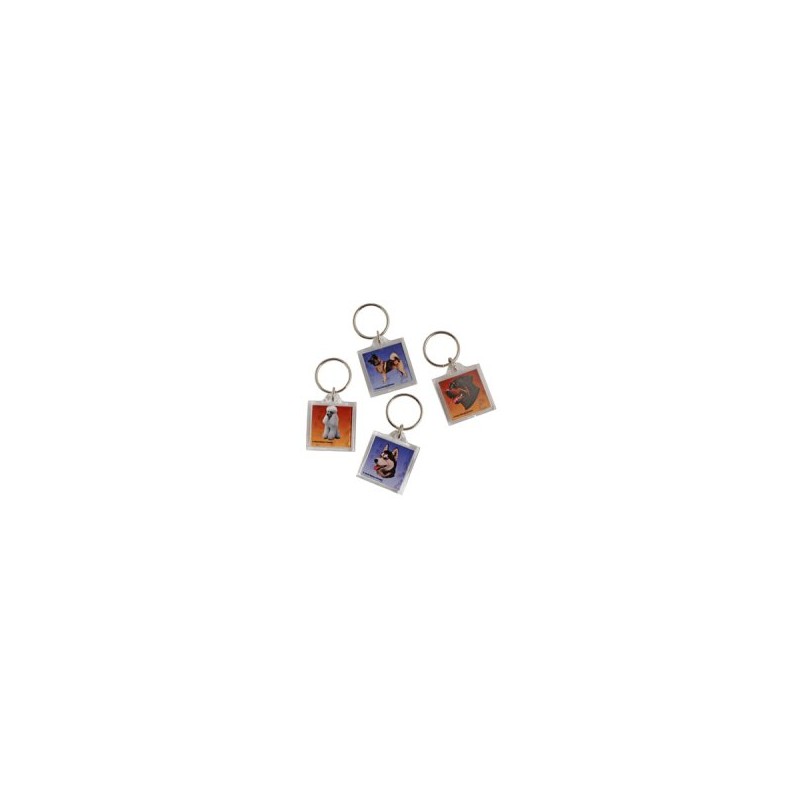Nøglering Hamster 32 x 32 mm. Multicolor