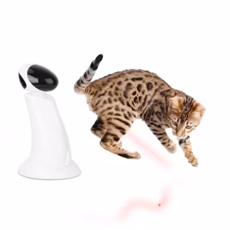 All For Paws interactive lazer beam.