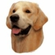 GOLDEN RETRIEVER 14x16CM 2 stk. WORLDSTICKERS