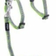 ROGZ NIGHTCAT SELE MED LINE XS LIMEGRØN 8MM 19,8-30CM