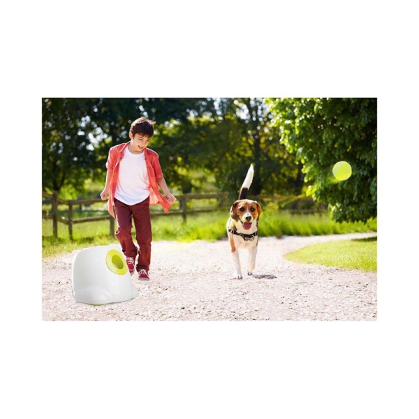 All For Paws Hyper fetch maxi boldkaster. Hundelegetøj