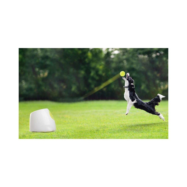 All For Paws Hyper fetch maxi boldkaster. Hundelegetøj