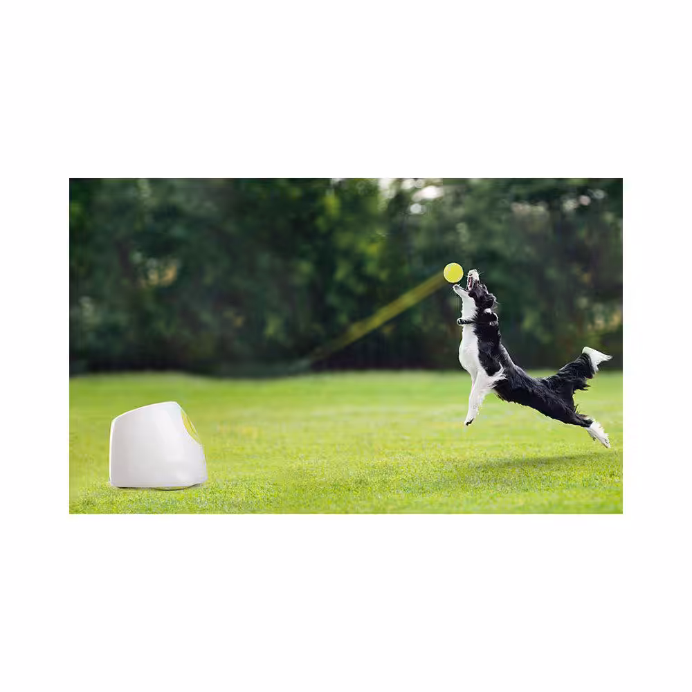 All For Paws Hyper fetch maxi boldkaster. Hundelegetøj