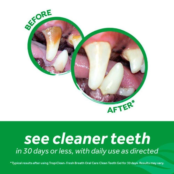 Tropiclean clean teeth oral care gel 118 ml.