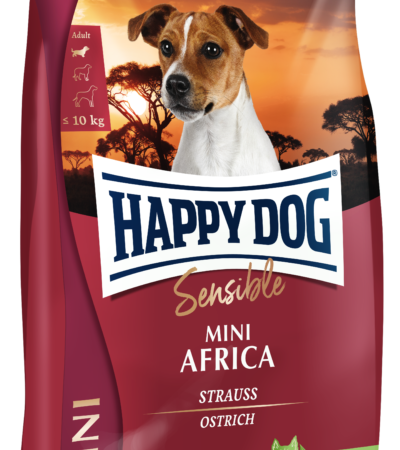 Happy dog sensible mini africa