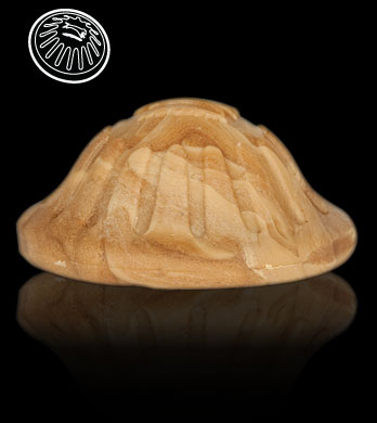 Starmark Bentoball orange. - Billede 2