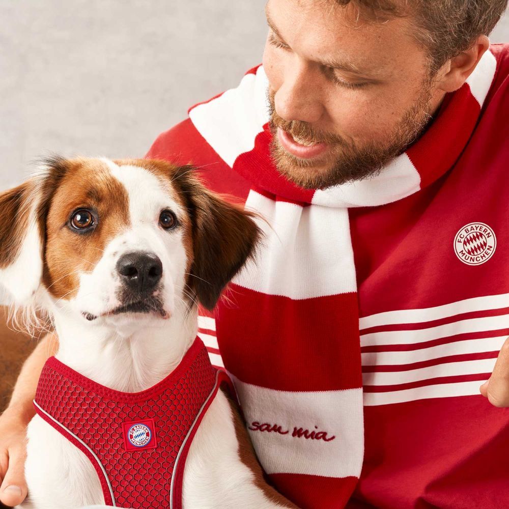 Hunter Hilo comfort sele Bayern München rød. - Billede 6