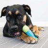 Kong Impact serien designet til de legesyge hunde. - Billede 5
