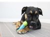 Kong Impact serien designet til de legesyge hunde. - Billede 2