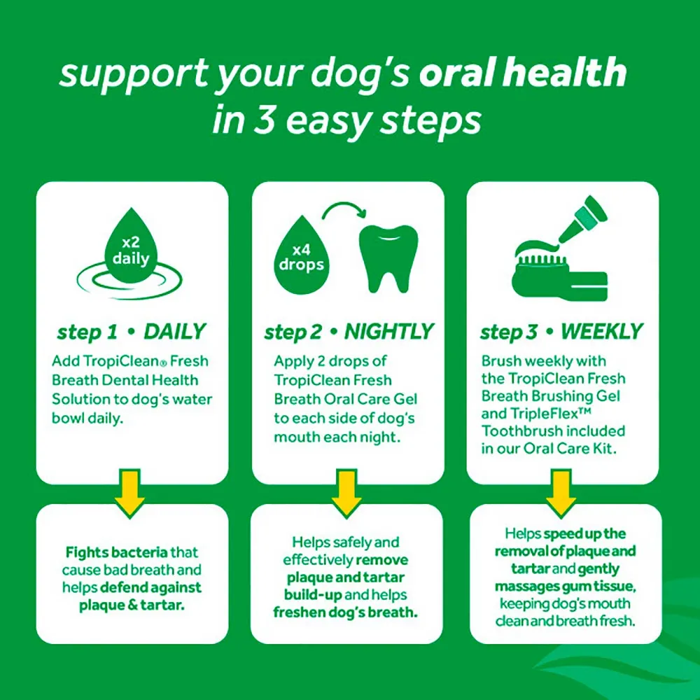 Tropiclean oral care gel.