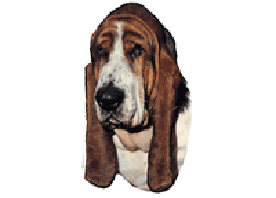 Worldstickers Basset 14x16 cm, 2 stk.