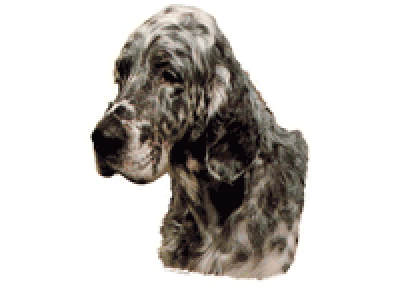 Worldstickers Engelsk Setter 14x16 cm, 2 stk.