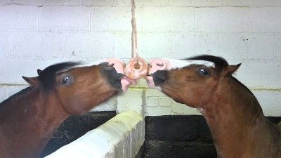 Saltsten Himalaya til hest 2-3 kg. - Billede 3